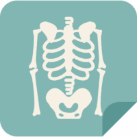 Service Icon